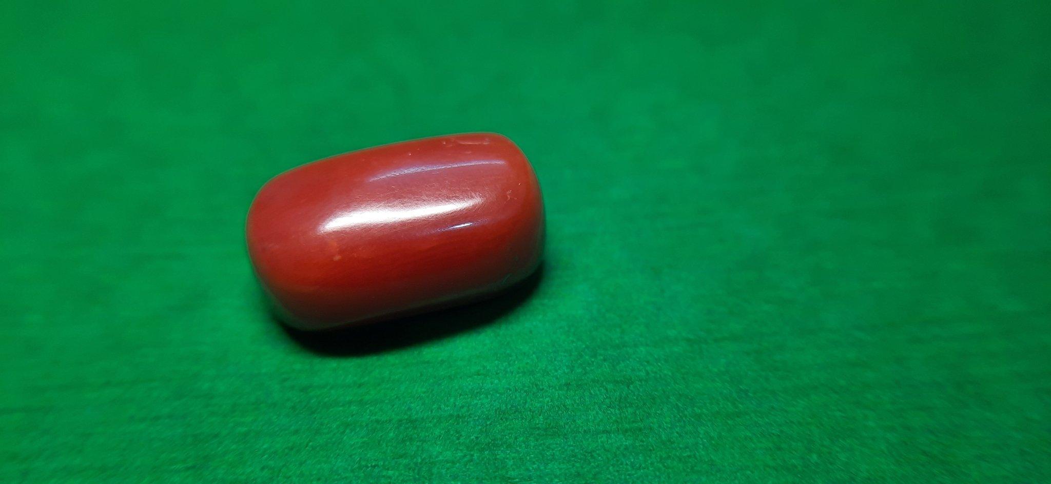 Red Coral – The Powerful Gemstone of Strength | Sandhya Gems – Wholesale Gemstone Suppliers Kolkata