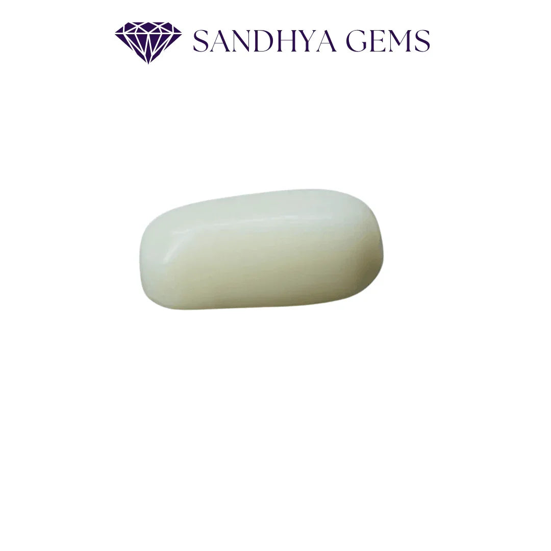 5 Carat Natural White Coral Stone (Safed Moonga) - Sandhya Gems Corner