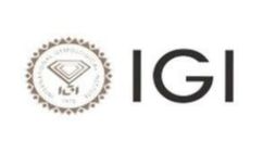 IGI logo