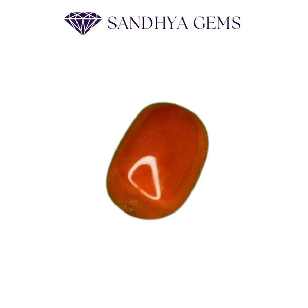 Premium Red Coral Moonga Large Size 10-14 Carat Sandhya Gems
