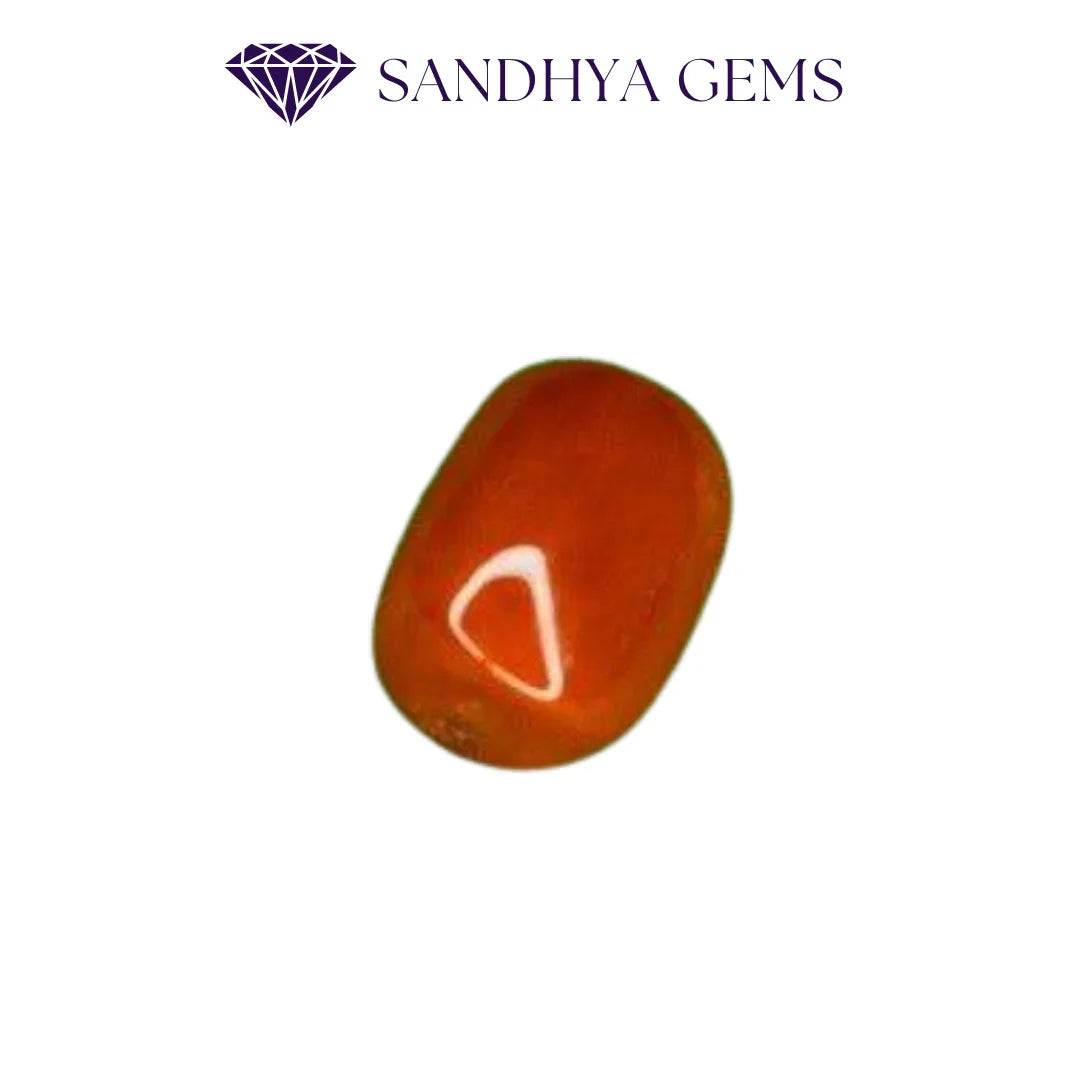 Premium Red Coral Moonga - Large Size - 10-14 Carat - Sandhya Gems Corner