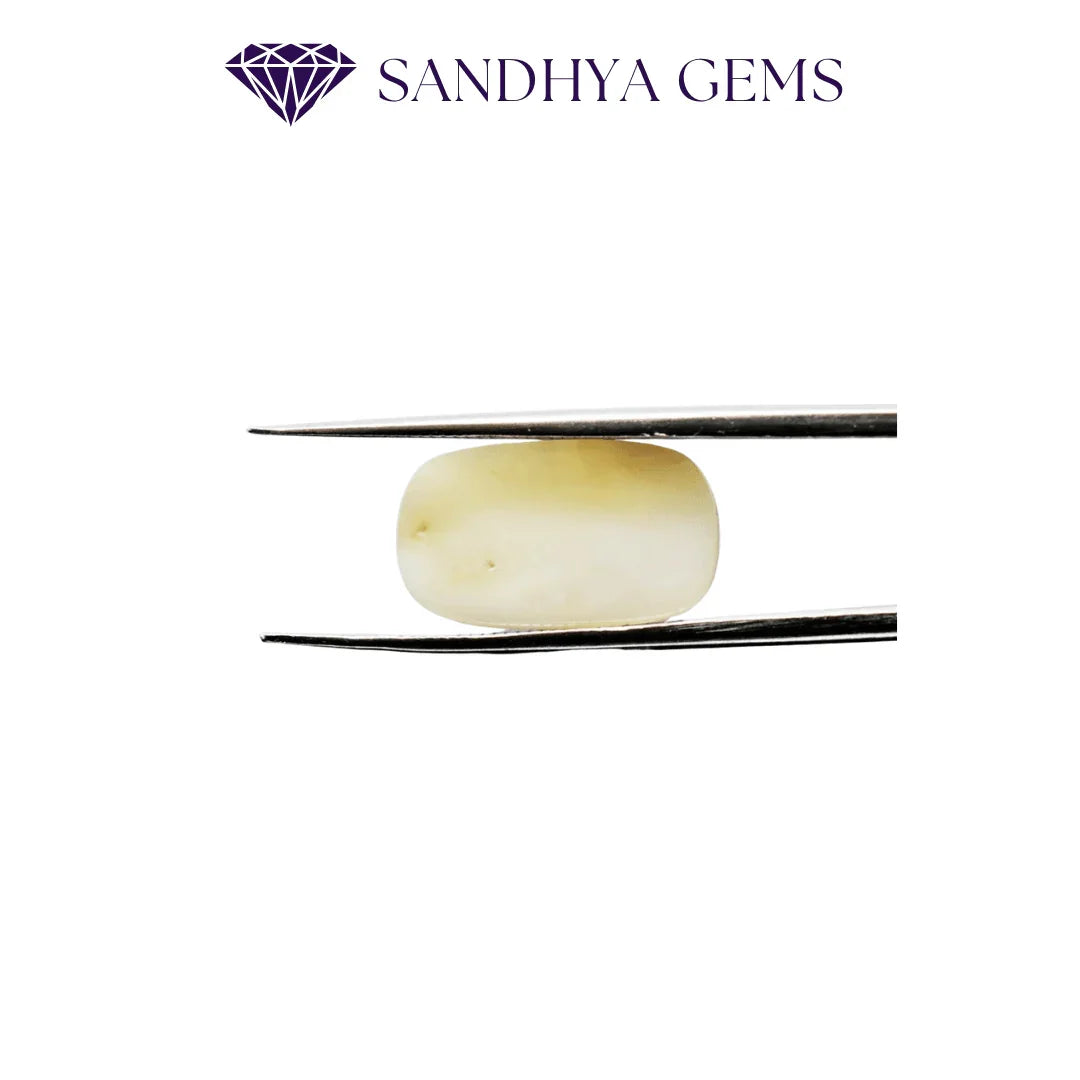 9 Carat Natural White Coral Stone (Safed Moonga) - Sandhya Gems Corner