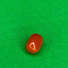 Natural Red Coral (Moonga | Laal Pola) - Sandhya Gems Corner